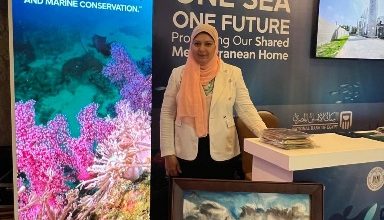 صورة “اصنع أخضر” يبرز الفن البيئي المستدام في “COP24”