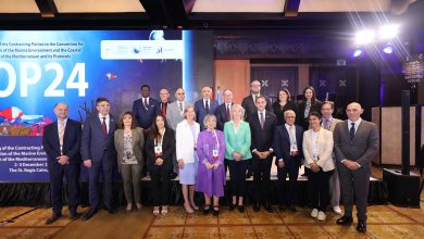 صورة البيئة والتنمية المستدامة في صلب إعلان القاهرة لمؤتمر COP24 ببرشلونة