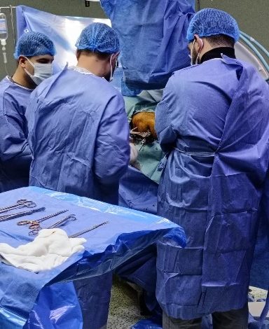 مستشفى "وادي النطرون التخصصي"