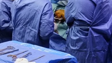 صورة مستشفى وادي النطرون التخصصي ينجح في إجراء عملية حرجة لمريض مسن يعاني فشل كلوي