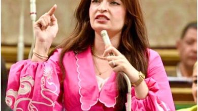 صورة نائبة بالبرلمان تتقدم بطلب إحاطة بشأن «البكالوريا»