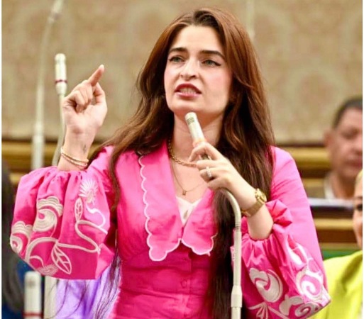 النائبة الدكتورة إيرين سعيد، رئيسة الهيئة البرلمانية لحزب الإصلاح والتنمية وعضو لجنة الصحة بمجلس النواب