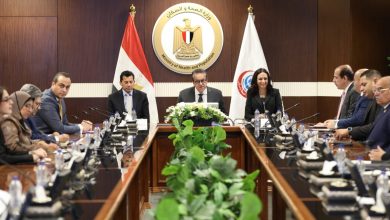 صورة 150مستشفى و300 سيارة إسعاف.. خطة مصر الصحية لاستقبال مصابي غزة