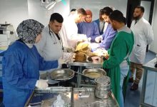 صورة جامعة دمنهور تطبق حلولًا علمية لمشكلة الكلاب الضالة