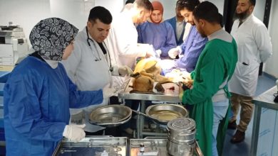 صورة جامعة دمنهور تطبق حلولًا علمية لمشكلة الكلاب الضالة