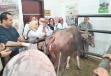 صورة جامعة دمنهور تُطلق قافلة تنموية متكاملة بقرية الأبعادية