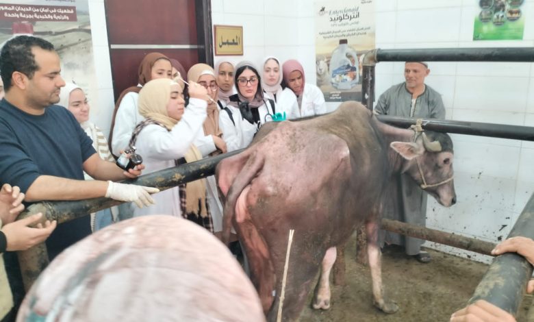 جامعة دمنهور تُطلق قافلة تنموية متكاملة بقرية الأبعادية