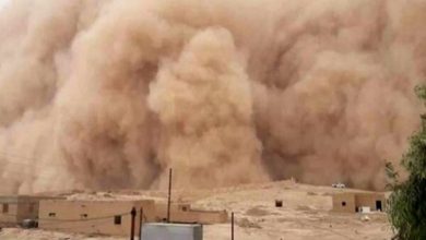 صورة «الصحة» تحذر من مخاطر العواصف الترابية وتوجه نصائح هامة للمواطنين