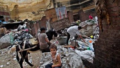 صورة استجابة لشكاوى السوشيال ميديا.. حملة لإزالة موقع حرق عشوائي بمنشية البكارى