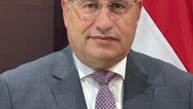 صورة السيرة الذاتية للدكتور عبدالعزيز قنصوة وزير التعليم العالي والبحث العلمي