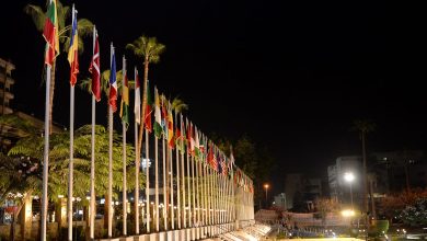 صورة جامعة المنصورة تطمئن الوافدين: لا تأثير على الدراسة والمحاضرات أونلاين