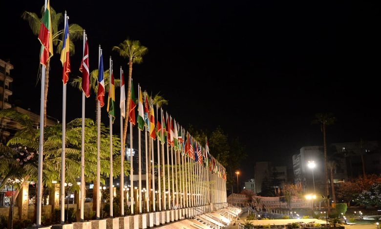 جامعة المنصورة