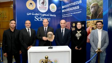 صورة «مصريبثيكس».. اكتشاف من الصحراء الغربية يهز الأوساط العلمية