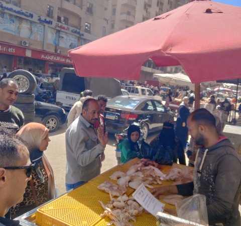 حملات توعوية موسعة تستهدف الأسواق ومحلات بيع الدواجن والأسماك بمحافظة الجيزة