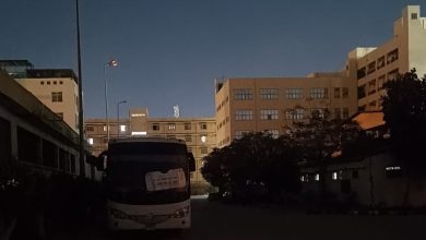 صورة «ساعة الأرض» تجمع جامعة المنصورة مع العالم في مواجهة التحديات المناخية