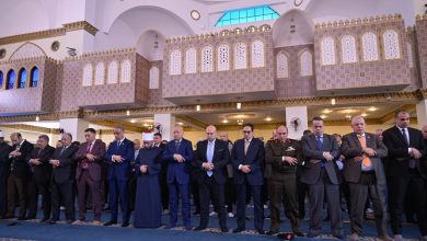 صورة رئيس جامعة القاهرة يشارك في احتفالات العيد القومي للجيزة