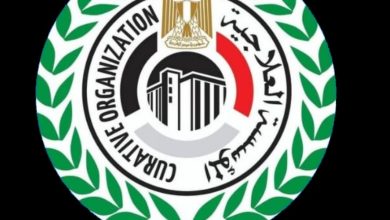 صورة لأول مرة ..”مبرة المعادى” يستضيف خبراء أجانب فى جراحات الجنين المعقدة