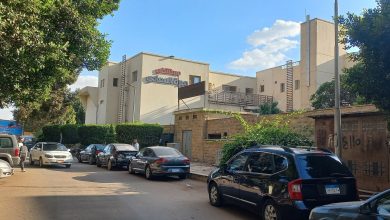 صورة لأول مرة ..”مبرة المعادى” يستضيف خبراء أجانب فى جراحات الأجنة المعقدة