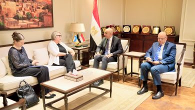 صورة شراكة جديدة مرتقبة بين مصر وفنلندا لتطوير التعليم الفني