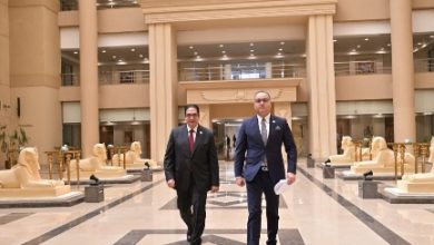 صورة جامعة القاهرة في قلب جهود بناء السلام الدولية