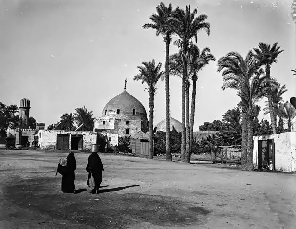 قصر العيني