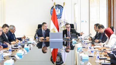 صورة خارطة طريق لدعم رواد الأعمال