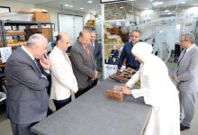 صورة جامعة المنصورة تعزز حضورها الدولي بـ5 أبحاث في حفريات الفقاريات