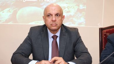 صورة 1700 عام من الإبهار.. عماد خليل يكشف أسرار “فنار الإسكندرية” الغارق