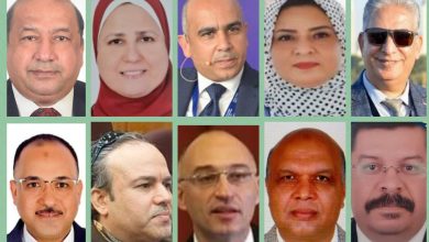 صورة 10 من علماء جامعة القاهرة في اللجان الدائمة للمجلس الأعلى للآثار