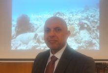 صورة 1700 عام من الإبهار.. عماد خليل يكشف أسرار فنار الإسكندرية الغارق