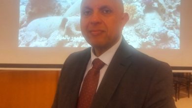 صورة 1700 عام من الإبهار.. عماد خليل يكشف أسرار فنار الإسكندرية الغارق