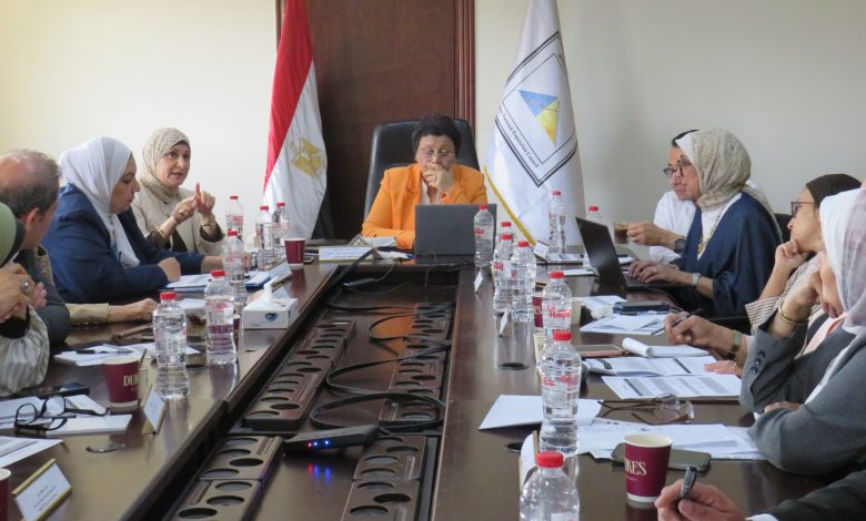 ورشة عمل النظام القومي للقابلات في مصر